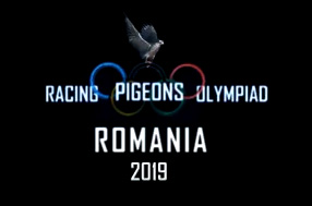 olimpiada-porumbei-voiajori-romania2019