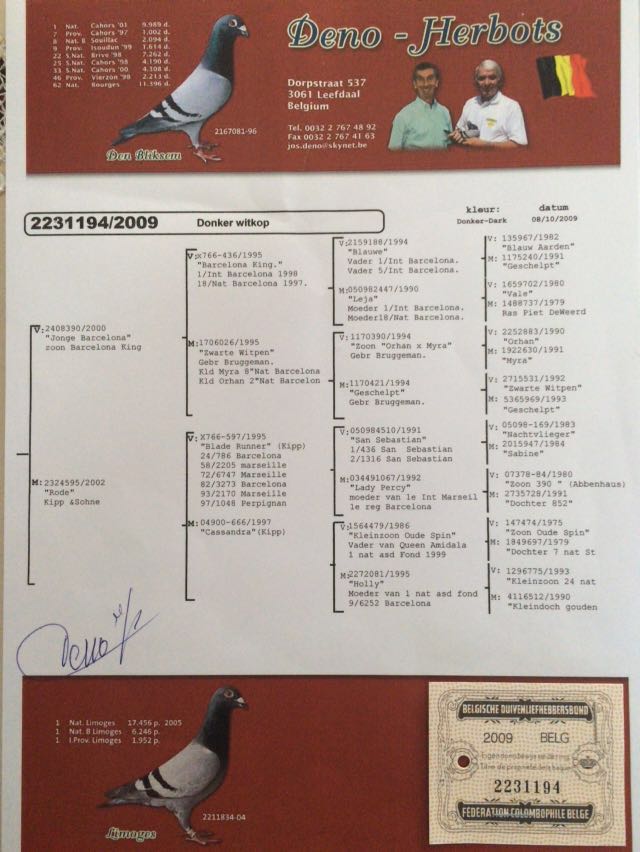 2231194ped Porumbei.ro