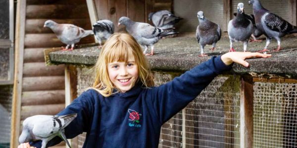 Fetita de 9 ani, viitor superstar in cursele cu porumbei
